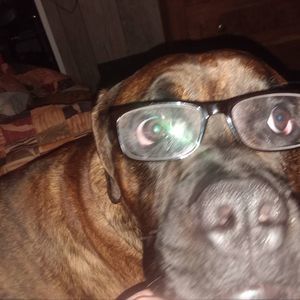 Meet your Posher, Jack